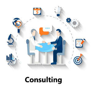 IT Consulting